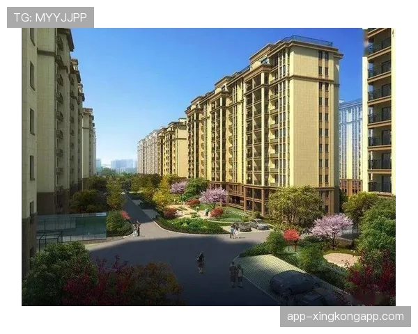 河南航海体育场改造方案提交审批，新建与改造博弈进入关键阶段